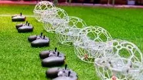 nba买球app下载 产品 090726 10l