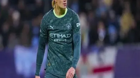 蜂魔激战：黄蜂19胜12傲视群雄，NBA对决数据揭秘！